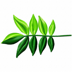 Leaves Embroidery Design 9